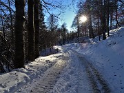 Sulle nevi dei Piani d’Artavaggio (1650 m) da Avolasio (1050 m) il 29 novembre 2021  - FOTOGALLERY